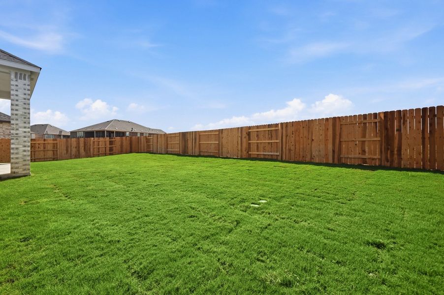 Backyard Backyard