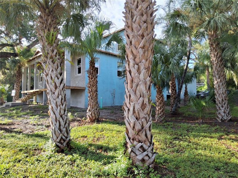 Natural landscape and outdoor views near in Crystal Beach (Image 2). Natural landscape and outdoor views near in Crystal Beach (Image 2).