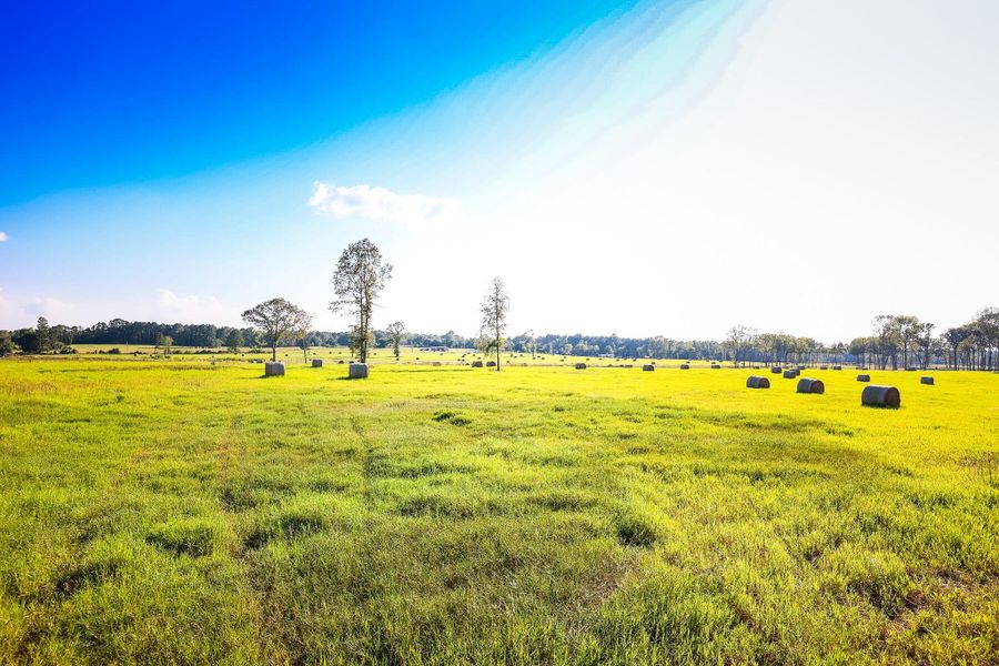 Natural landscape and outdoor views near in Hallsville (Image 10). Natural landscape and outdoor views near in Hallsville (Image 10).