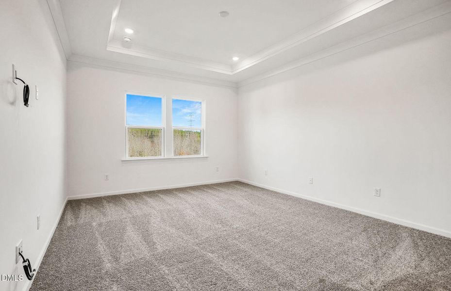 Kirby-model-charlotte (24).JPG