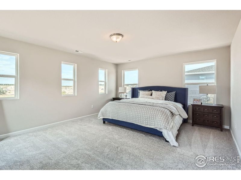 Flooded with natural light Flooded with natural light