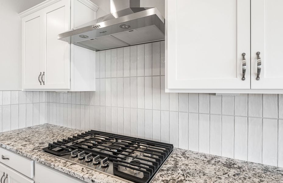 Close-up of interior finishes inside a home in Parkside at Anthem at Merrill Ranch, Florence (Image 14).