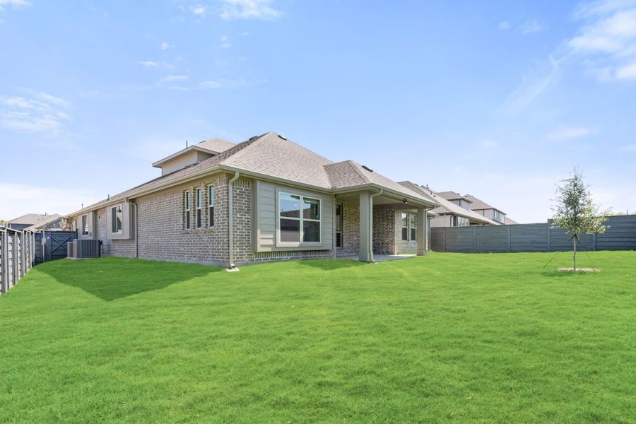 Back of single-story brick home with covered patio, large fenced backyard, and young tree