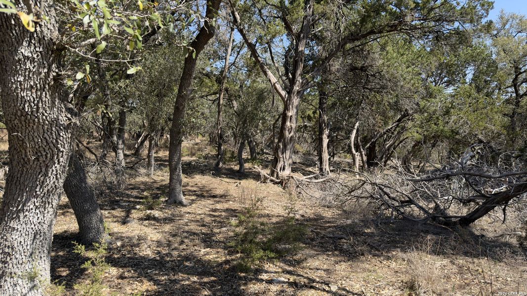 Natural landscape and outdoor views near in Canyon Lake (Image 16). Natural landscape and outdoor views near in Canyon Lake (Image 16).