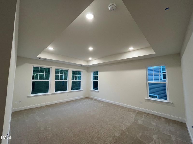 Primary Suite w/Tray Ceiling