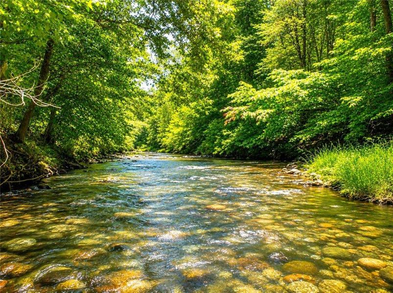 Natural landscape and outdoor views near  in Ellijay (Image 41).