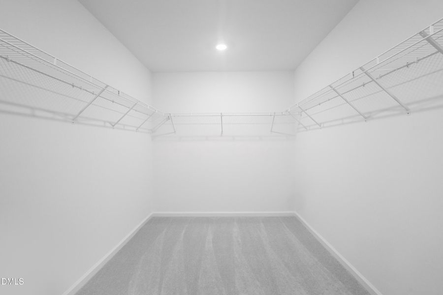 SUN_MyrtleMeadows_Pic_Winston-28