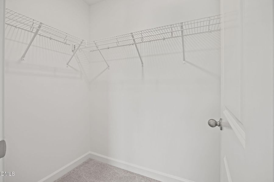 35-web-or-mls-IMG_7264