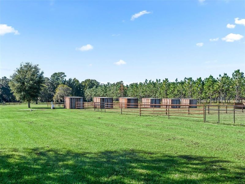 Community amenities in , Reddick (Image 42). Community amenities in , Reddick (Image 42).