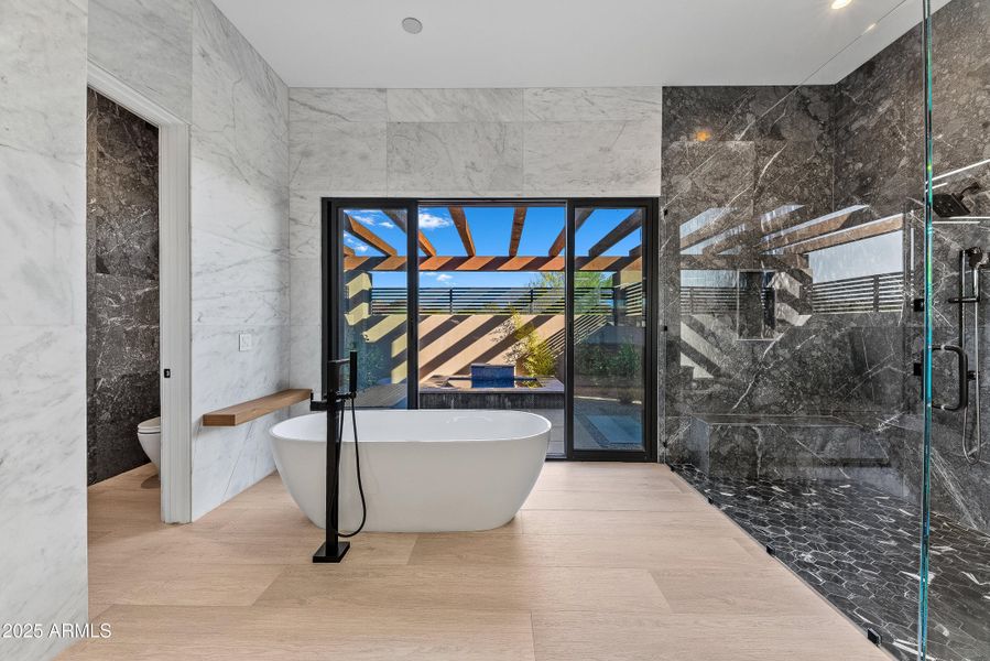 051_e_celestial-22_990