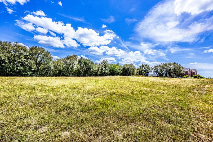 Natural landscape and outdoor views near  in Huntsville (Image 33).