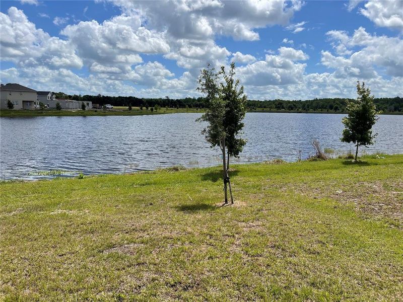 Natural landscape and outdoor views near Harmony Central in St. Cloud (Image 22).