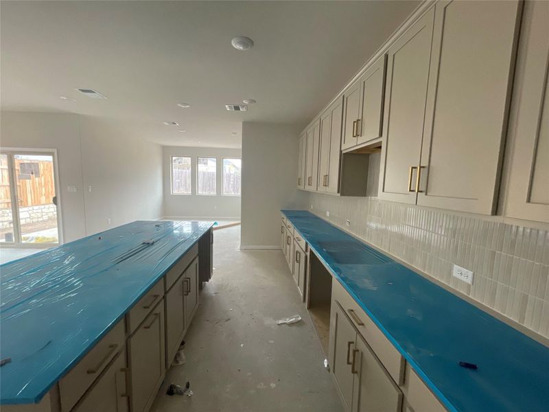 In-progress construction of a new home in Covered Bridge, Hutto, TX (Image 19).