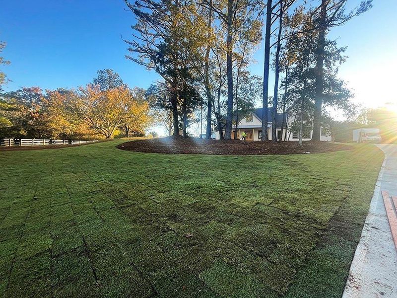 Natural landscape and outdoor views near  in Canton (Image 38).