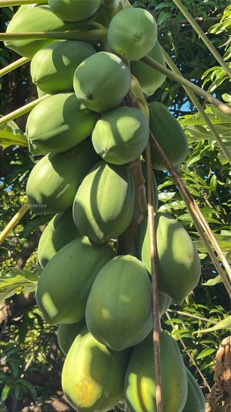 Image 17 of a home in .