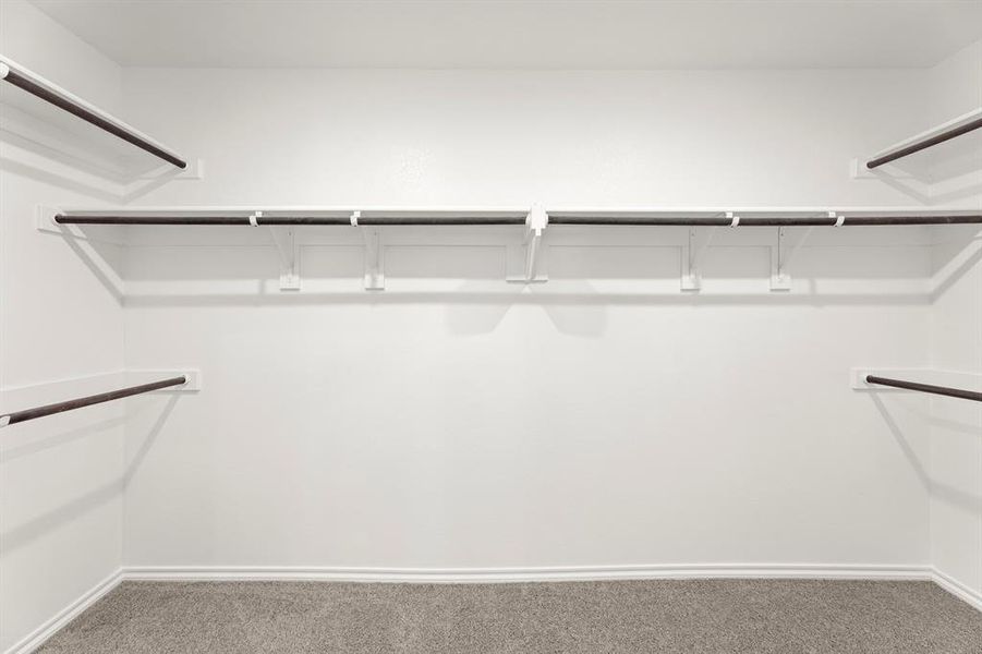 24. 118 Coyote - Closet 24. 118 Coyote - Closet