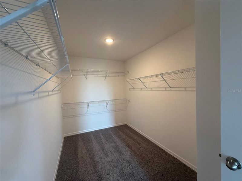 Spacious, unfurnished interior of a new home in , Mascotte (Image 30).