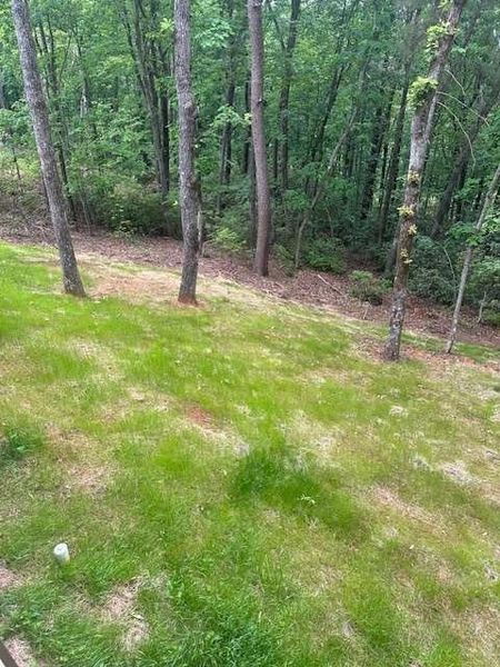 Natural landscape and outdoor views near  in Cleveland (Image 22).