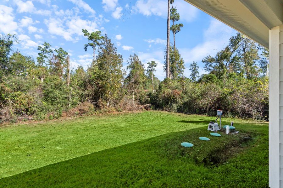 This backyard offers a wide, open green space with no back neighbors, backing directly to a lush wooded area for added privacy and a peaceful natural backdrop.