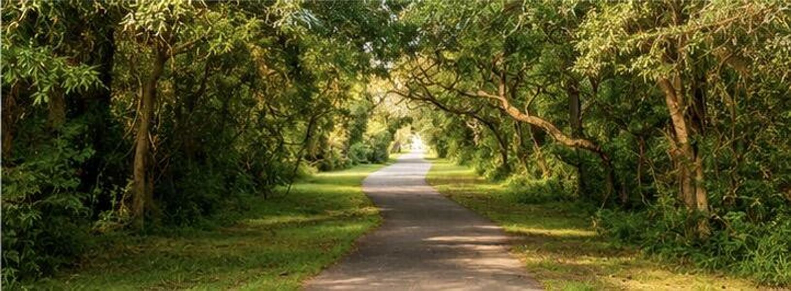 Natural landscape and outdoor views near  in Charleston (Image 43).