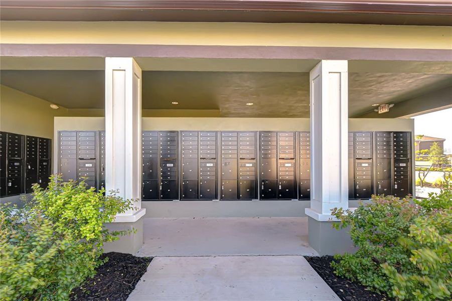 Exterior details and patio area of a home in , Zephyrhills (Image 34). Exterior details and patio area of a home in , Zephyrhills (Image 34).
