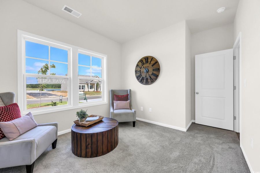 Living area with light carpet