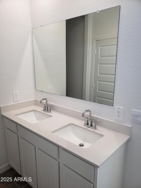 Ashburn Primary Bath Pic 2