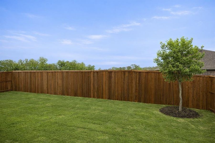 2240 Aspen backyard2