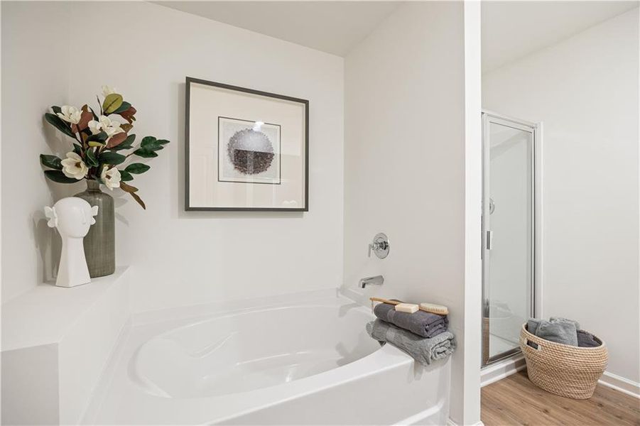 Furnished interior view inside a new home in Old Salem Crossing, Conyers (Image 23).