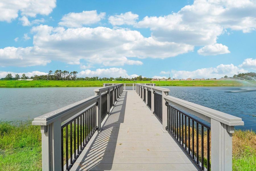 Natural landscape and outdoor views near Newport Pointe in Crosby (Image 23).