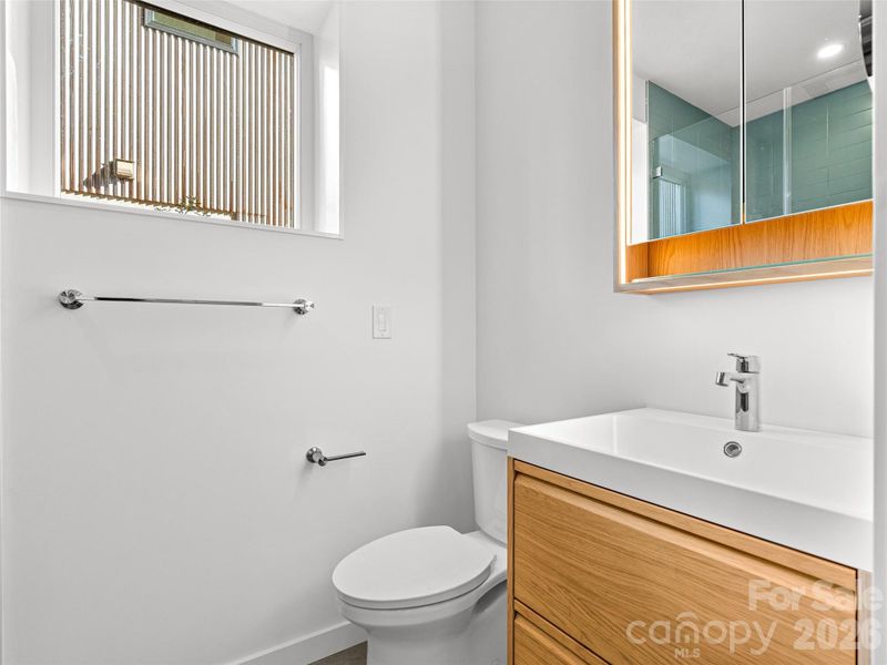 Lower Level Bathroom