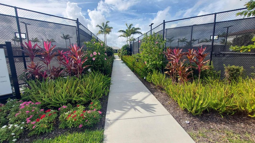 Tennis Courts Landscape