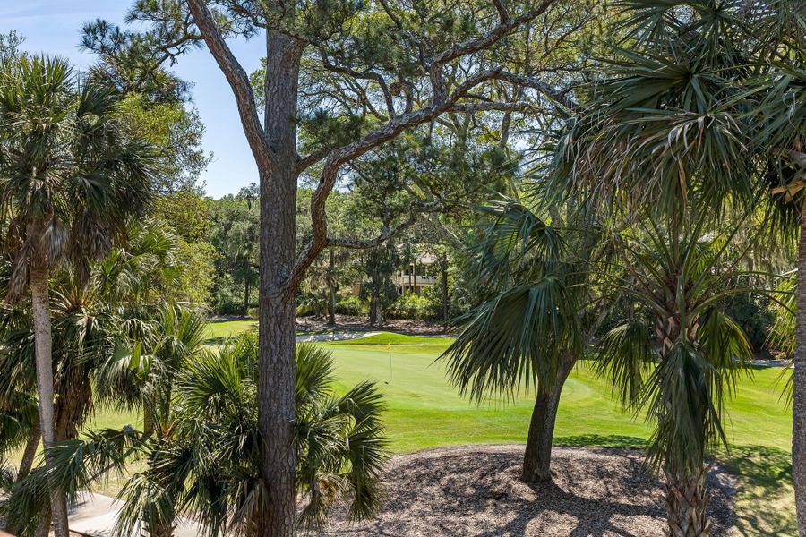 Natural landscape and outdoor views near  in Johns Island (Image 33).