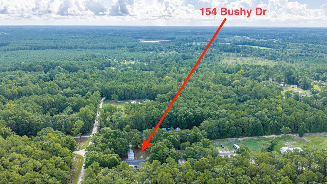 Natural landscape and outdoor views near  in Walterboro (Image 65).