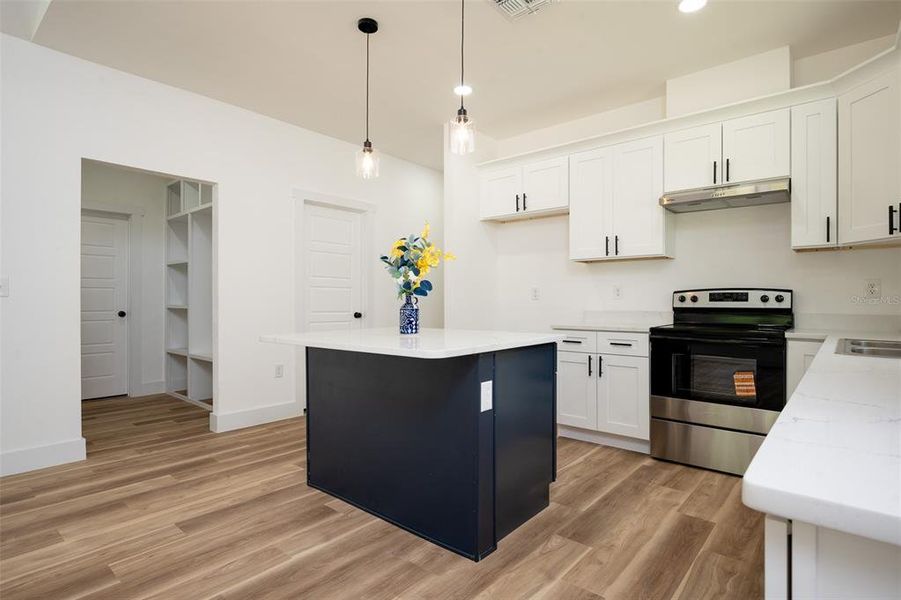 Furnished interior view inside a new home in , Williston (Image 7).