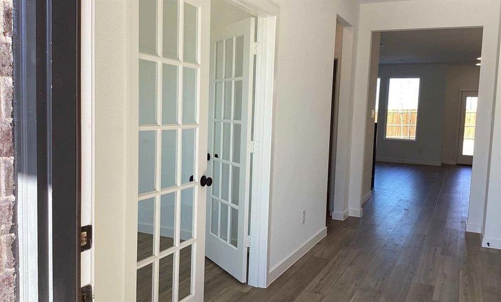 Study Construction Progress Study Construction Progress