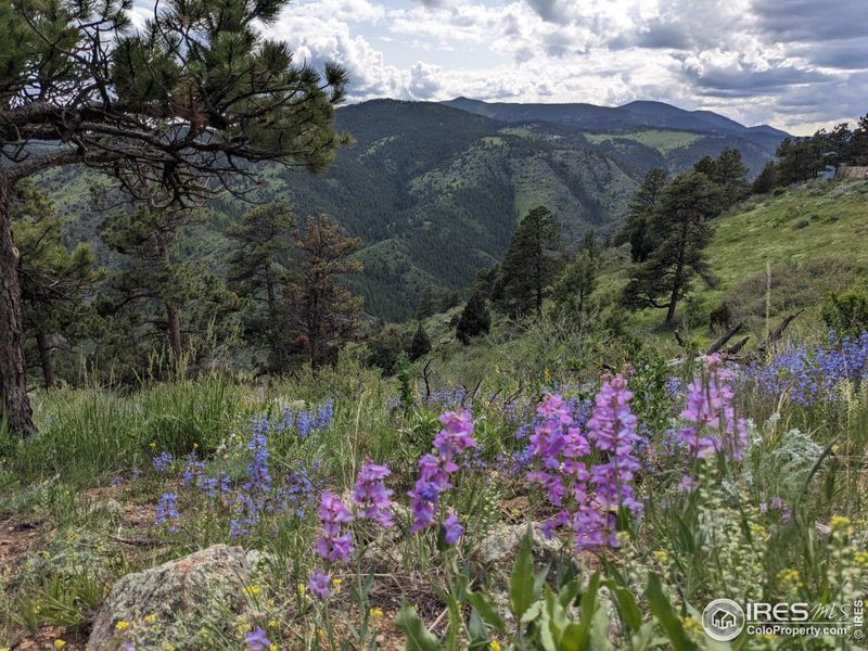 Image 32 of a home in .