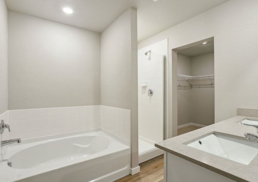 The master bathroom has a dual sink vanity and a step in shower and soaking tub.