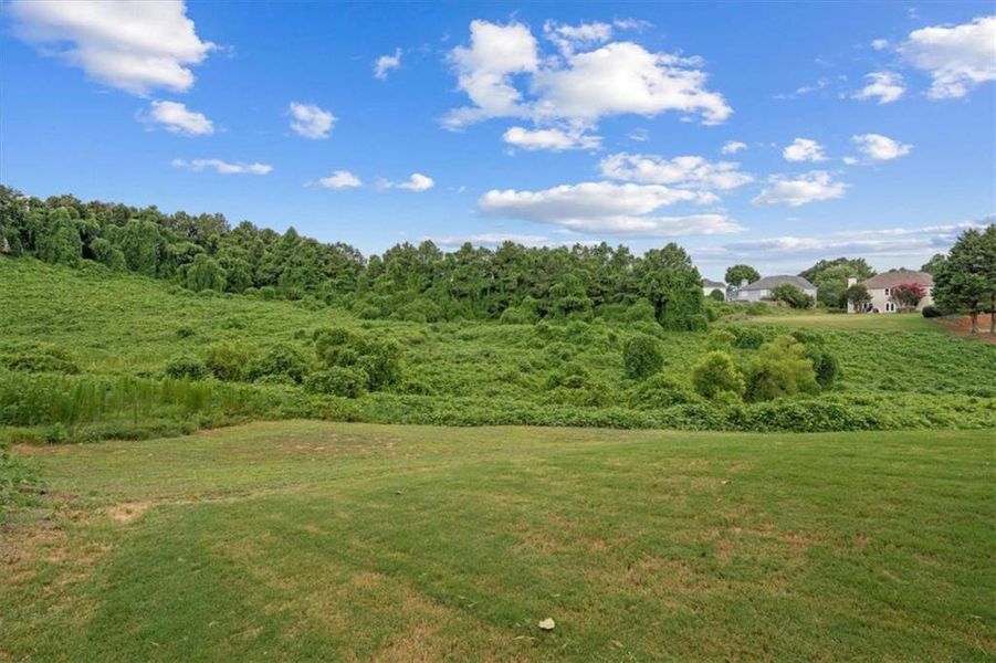 Natural landscape and outdoor views near  in Villa Rica (Image 45).