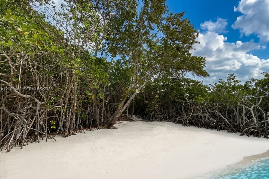 Natural landscape and outdoor views near  in Jupiter (Image 4).