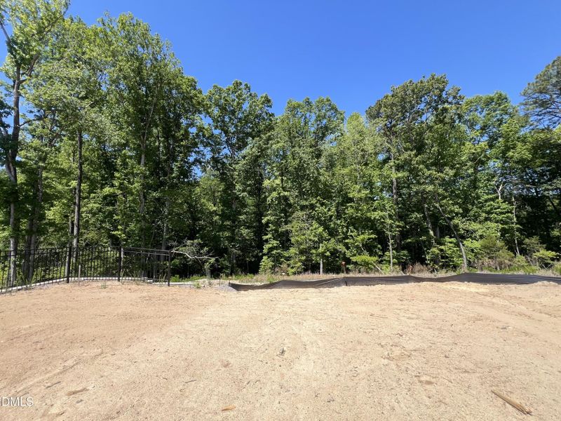 Homesite 471 Backyard
