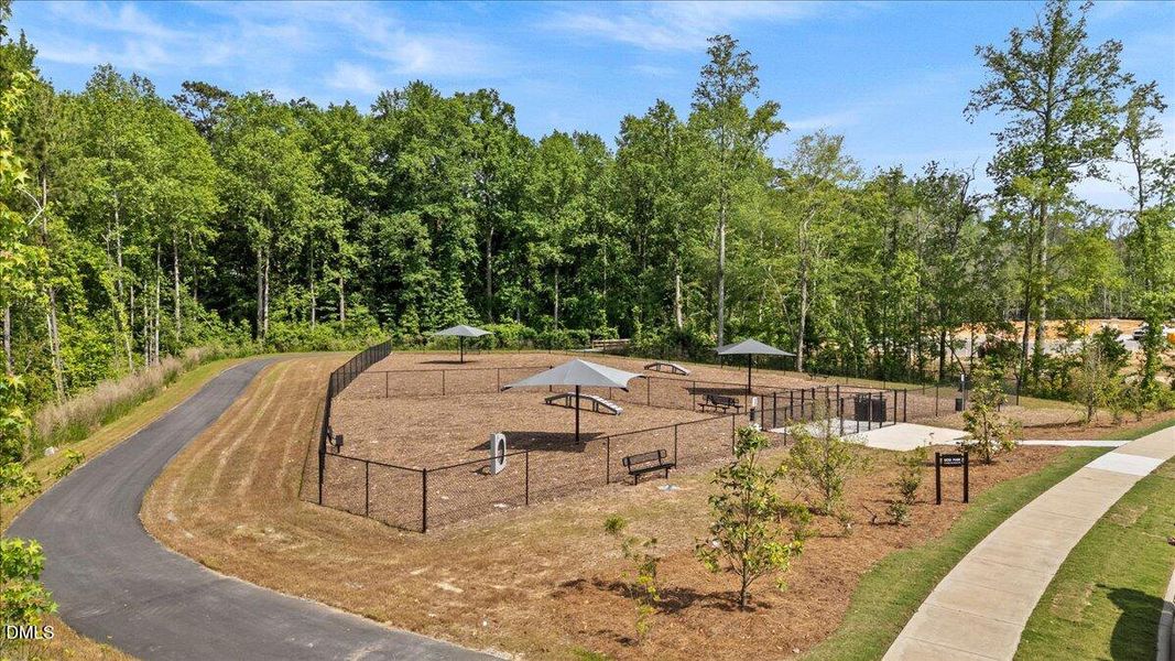 50-DJI_20250520155359_0190_D