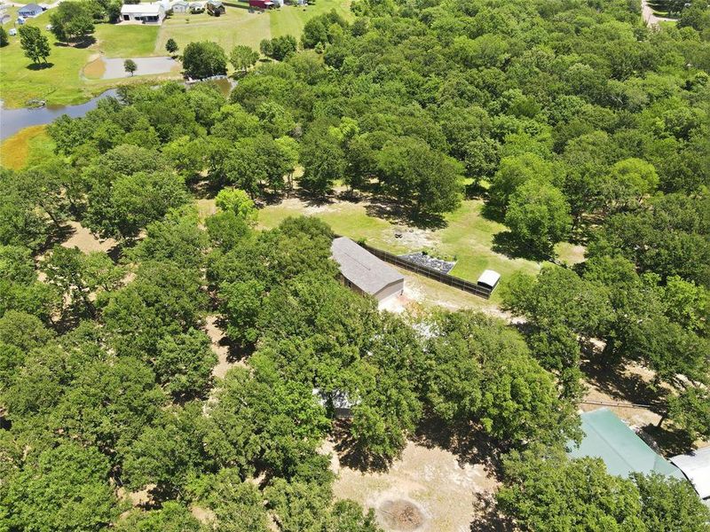 Natural landscape and outdoor views near  in Quitman (Image 26).