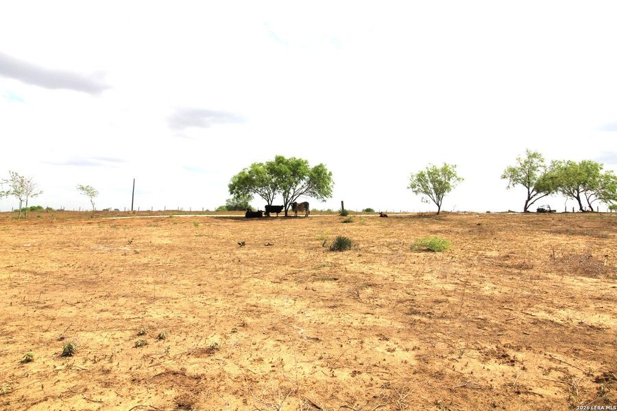 Site preparation for new homesites in , Floresville (Image 33).