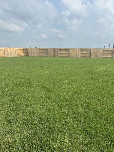 Exterior details and patio area of a home in Monarch Landing, Needville (Image 2).