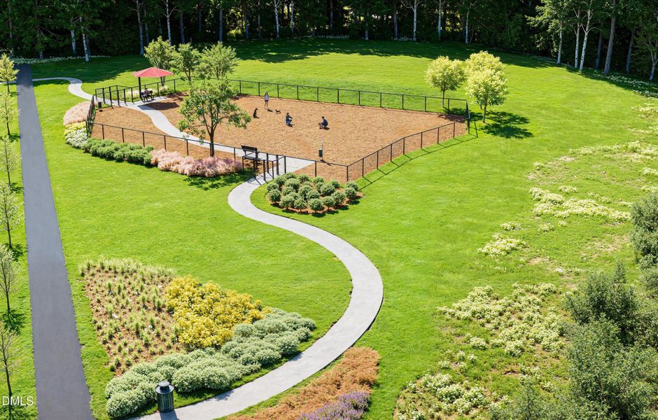 Dog Park Aerial Dog Park Aerial