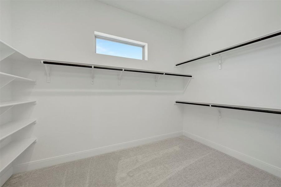 Walk-in closet featuring light gray carpeting, white baseboards, and bright white walls Walk-in closet featuring light gray carpeting, white baseboards, and bright white walls