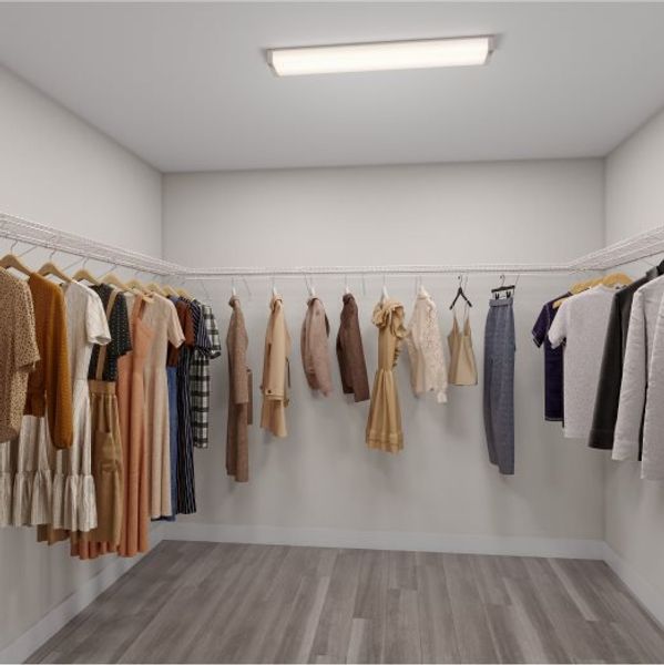 Piedra owners closet