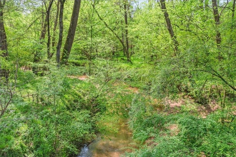 Natural landscape and outdoor views near  in Hoschton (Image 73).