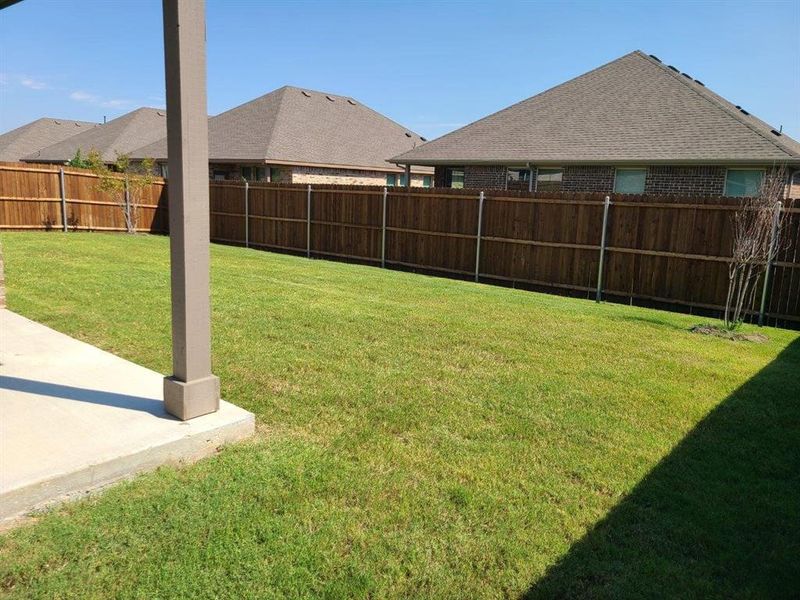 Large fenced backyard